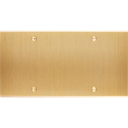 Placa del interruptor...