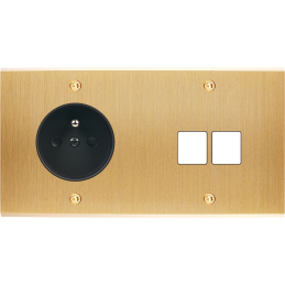 Placa del interruptor...