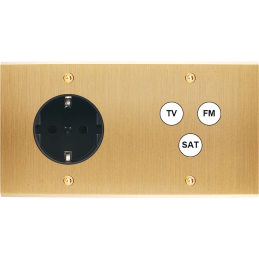 Placa del interruptor...