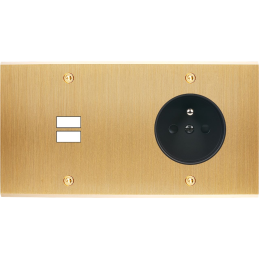 Placa del interruptor...