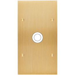 Placa del interruptor...