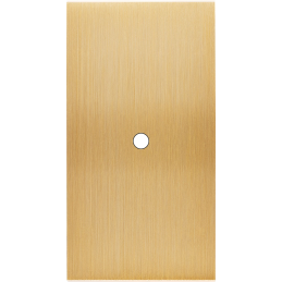 Placa del interruptor...