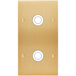 Placa del interruptor...