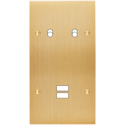 Placa del interruptor...