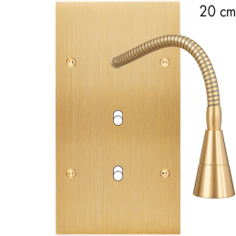 Switch plate Confidence...