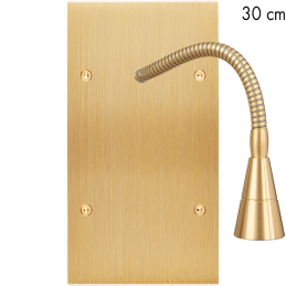 Placa del interruptor...