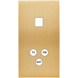 Placa del interruptor...