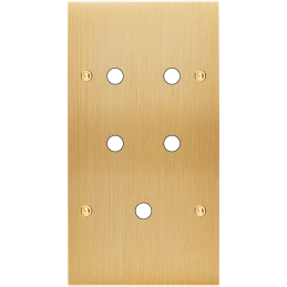 Placa del interruptor...