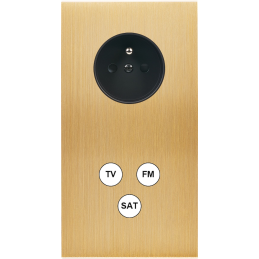 Placa del interruptor...