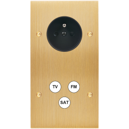 Placa del interruptor...