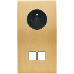 Placa del interruptor...