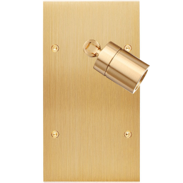 Switch plate Confidence...