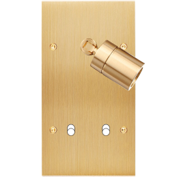 Switch plate Confidence...