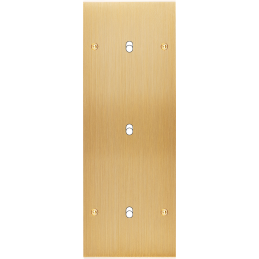 Façade Confidence Laiton...