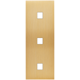 Placa de interrutor...