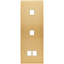 Placa del interruptor...