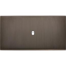 Placa del interruptor...