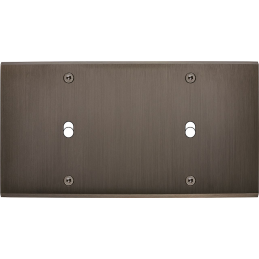 Placa de interrutor...