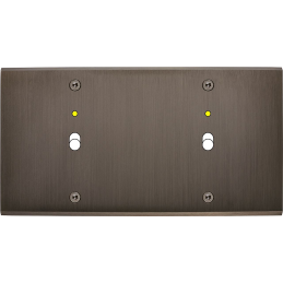 Placa del interruptor...