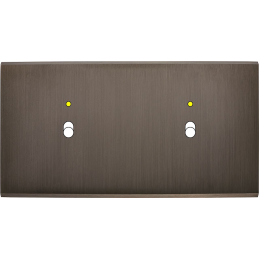 Placa del interruptor...