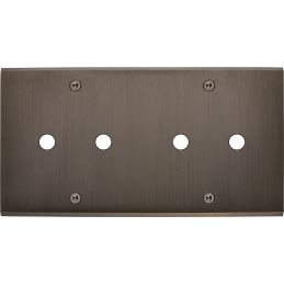 Placa del interruptor...