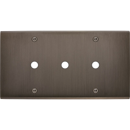 Placa del interruptor...