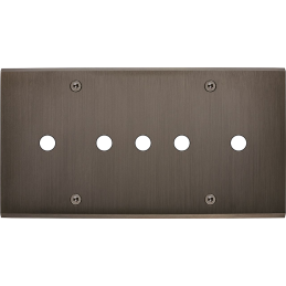 Placa del interruptor...