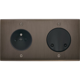 Placa del interruptor...