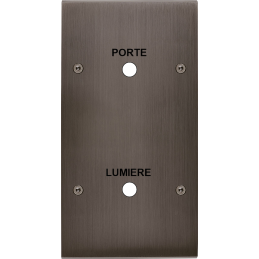 Placa del interruptor...