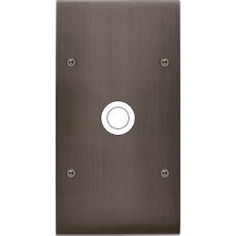 Placa del interruptor...