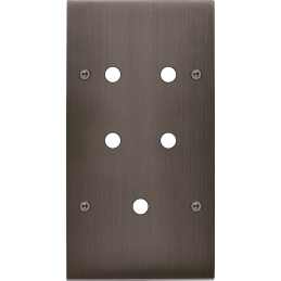 Placa del interruptor...