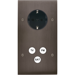 Placa del interruptor...