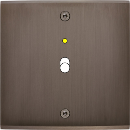 Placa del interruptor...