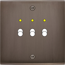 Placa del interruptor...