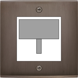 Placa de interrutor...