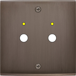 Placa de interrutor...