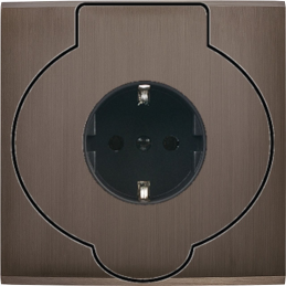 Placa del interruptor...