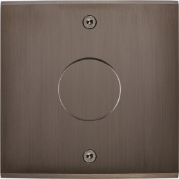 Placa de interrutor...