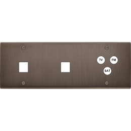 Placa del interruptor...