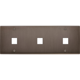 Placa del interruptor...