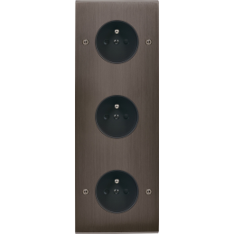 Placa del interruptor...