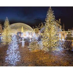 Fir spray structure silver...