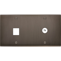 Placa del interruptor...