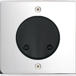 Façade Confidence Laiton...