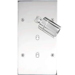 Placa del interruptor...