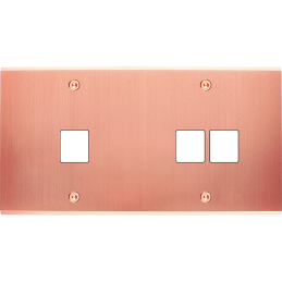 Placa del interruptor...