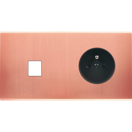 Placa de interrutor...