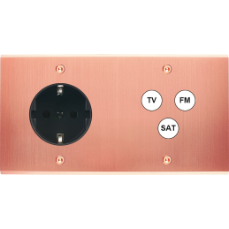 Placa del interruptor...