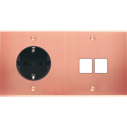 Placa de interrutor...