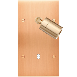 Switch plate Confidence...